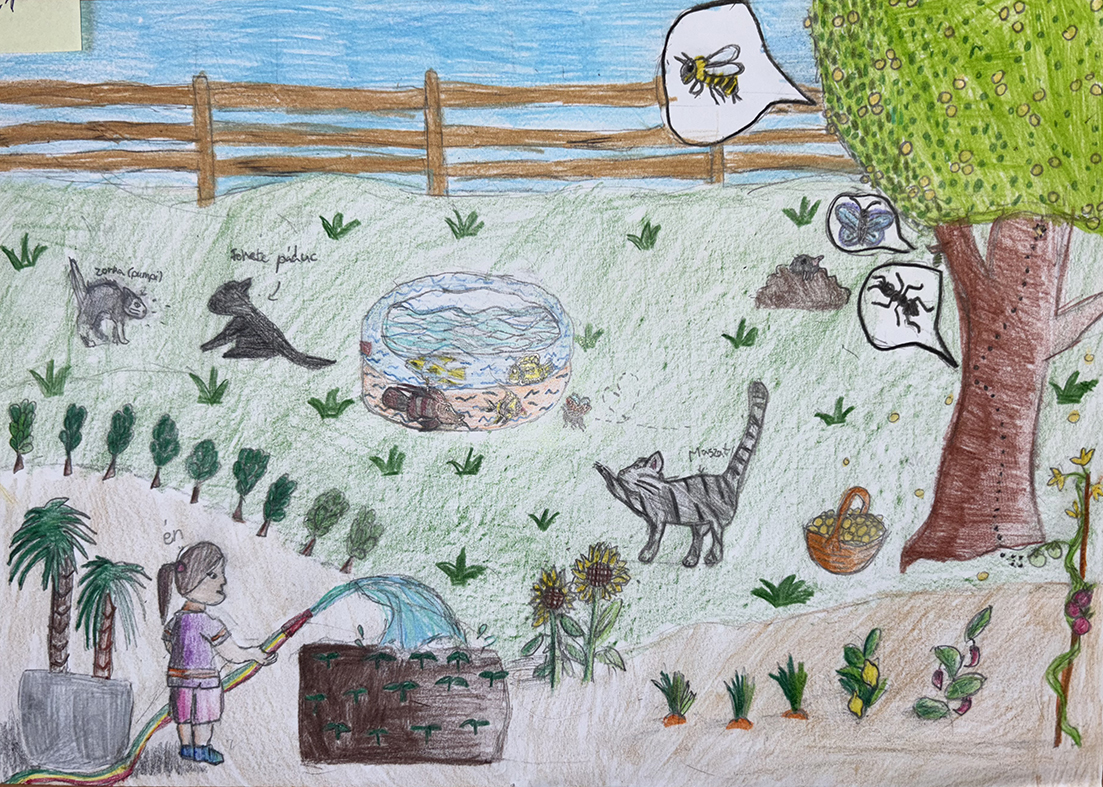 _isk_01_Fichtinger_Liza_9_éves_1.helyezett_vagott_web