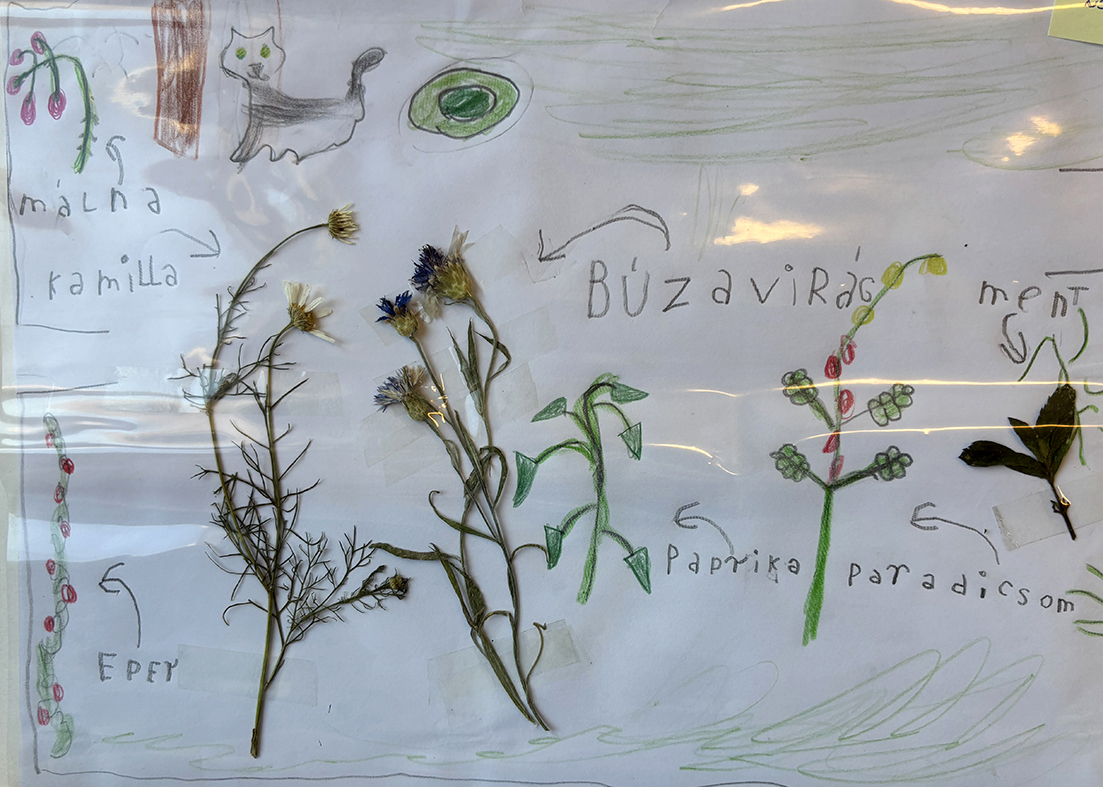 _isk_04_Ondrisek Johanna_8_éves_4.helyezett_vagott_web